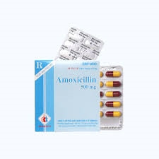 AMOXICILLIN 500MG H/100V DMC