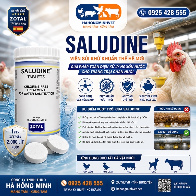 SALUDINE TABLET(50*1)- Sát trùng viên 1/2m3