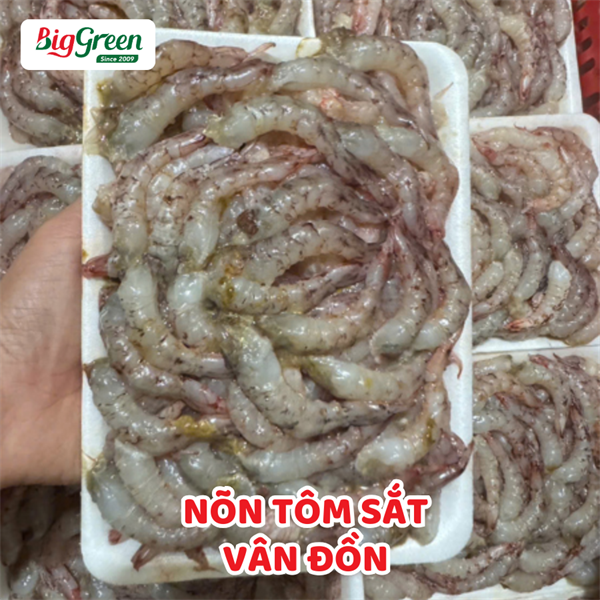 Nõn Tôm Sắt Vân Đồn