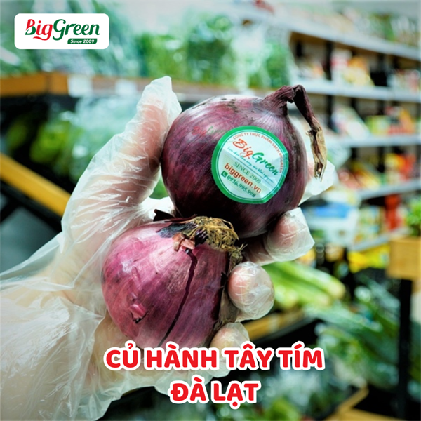 Củ Hành Tây Tím - Đà Lạt