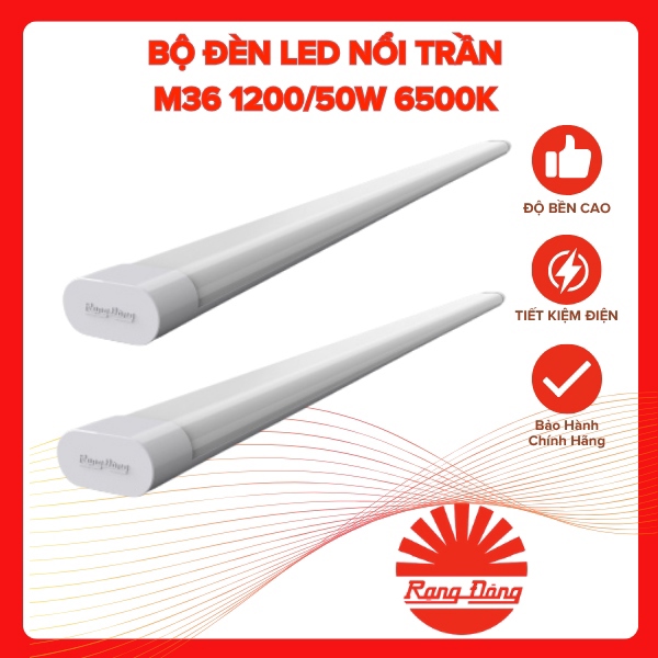Bộ đèn LED nổi trần M36 1200 50W 6500K