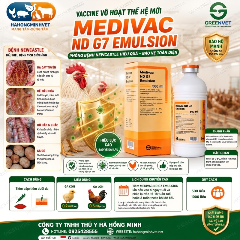 Medivac ND G7 Emulsion 500 ds (New dầu) (chai 250ml)