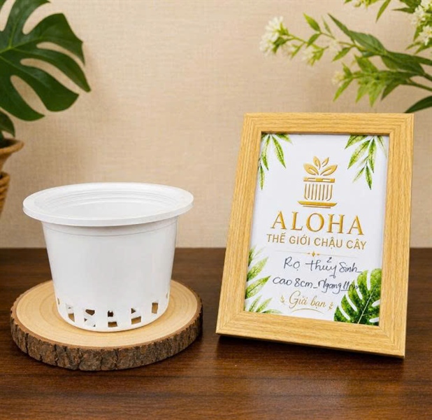 RỌ THỦY SINH TRẮNG TRƠN CAO 8CM X NGANG 11 CM