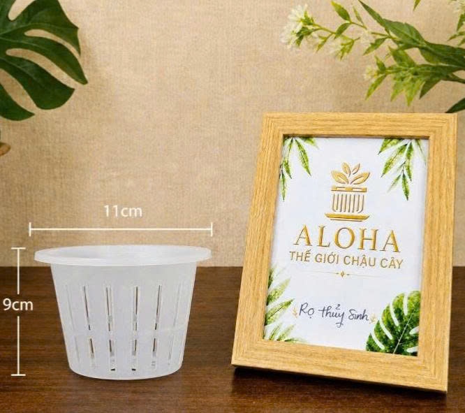 RỌ THỦY SINH