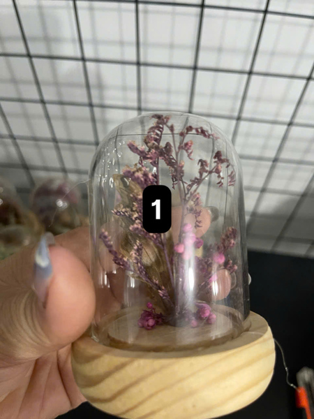 Nhà bướm nhỏ