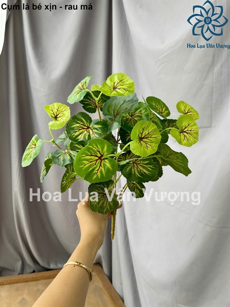 Cụm lá bé xịn - rau má - Lá cành ngắn - Hoa Lụa Vân Vượng