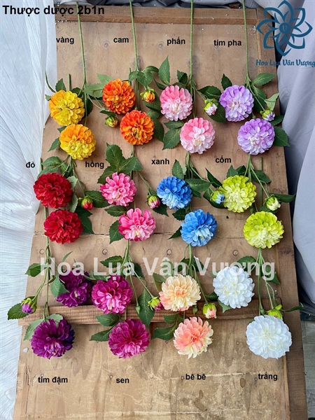 Thược dược 2b1n - Hoa cành dài - Hoa Lụa Vân Vượng