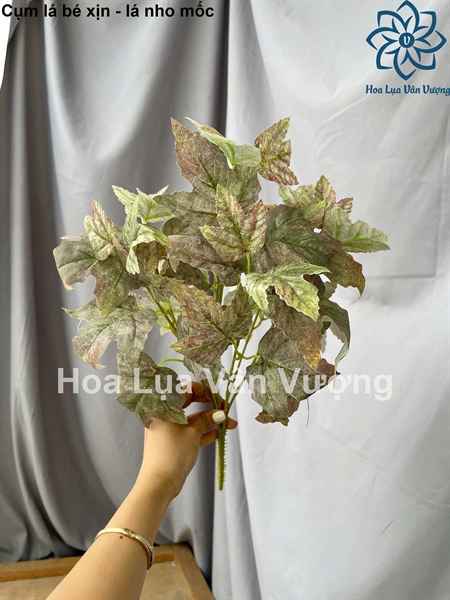 Cụm lá bé xịn - lá nho mốc - Lá cành ngắn - Hoa Lụa Vân Vượng