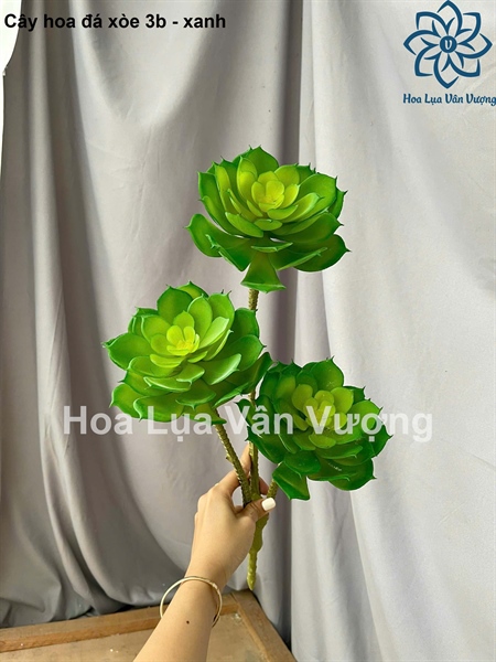Cây hoa đá xòe 3b - Xanh - Hoa đá - Hoa Lụa Vân Vượng
