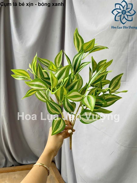 Cụm lá bé xịn - bỏng xanh - Lá cành ngắn - Hoa Lụa Vân Vượng