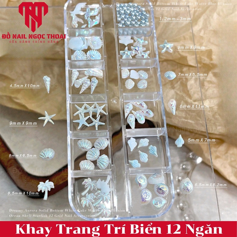Khay Trang Trí Biển 12 Ngăn - Xanh