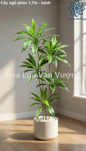 Cây ngũ phúc 1,7m - xanh - Cây - Hoa Lụa Vân Vượng
