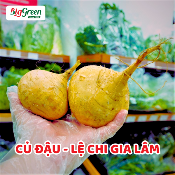 Củ Đậu - Lệ Chi, Gia Lâm
