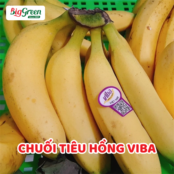 Chuối Tiêu Hồng-Viba