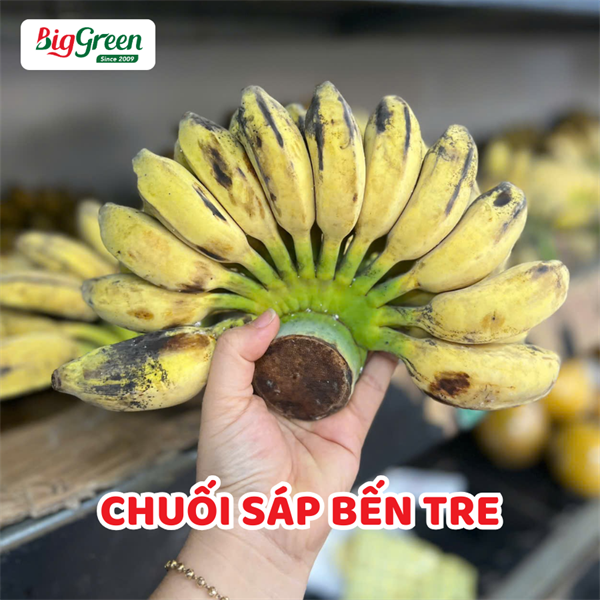 Chuối Sáp - Bến Tre