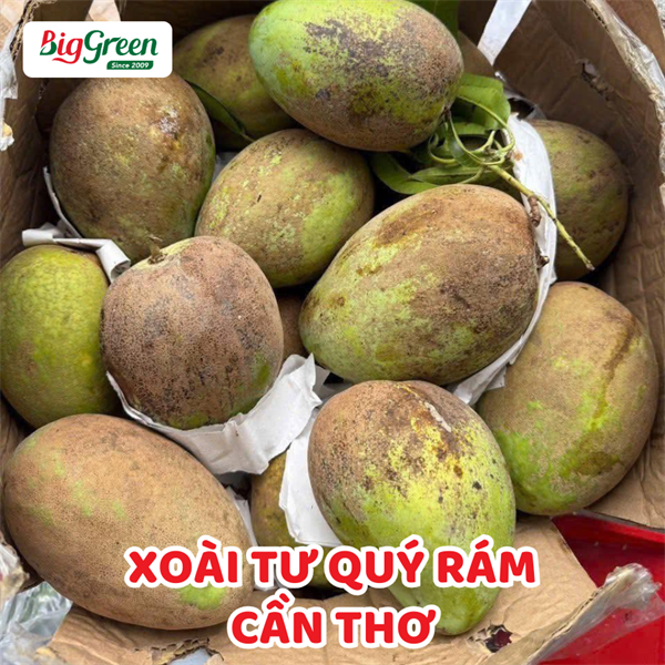 Xoài Tứ Quý Rám Cần Thơ