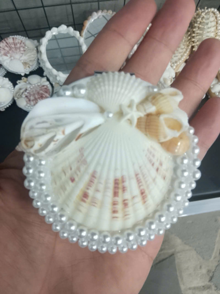 Gương Hình Sò