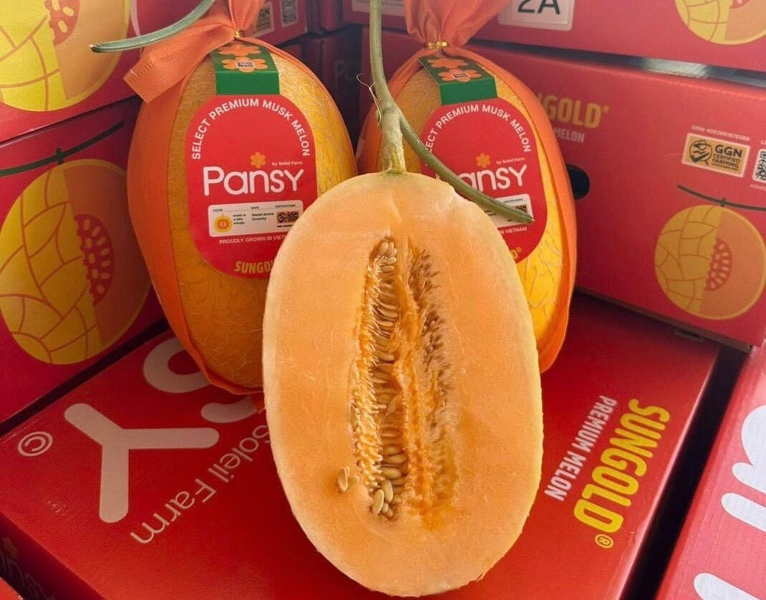 Dưa Vàng Quả Tươi Pansy