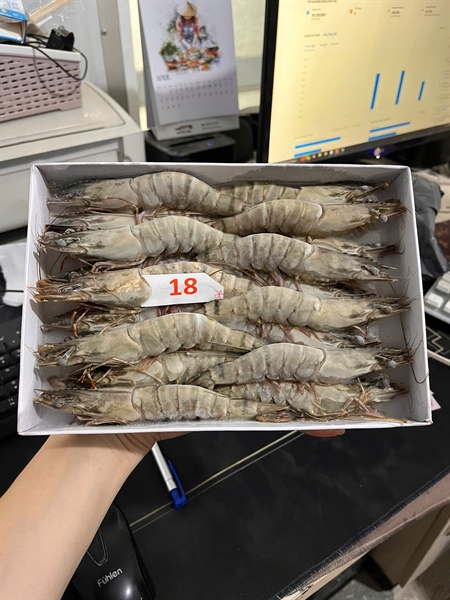 Tôm Sú 18 Net đủ 500gr