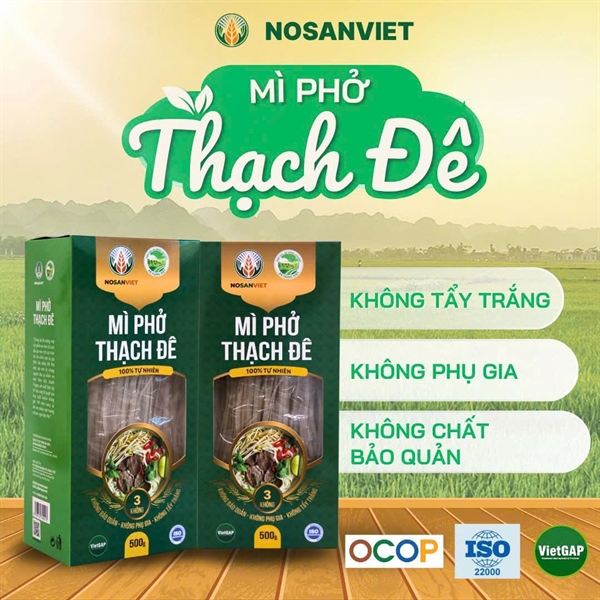 Mỳ phở Thạch Đê 500gr