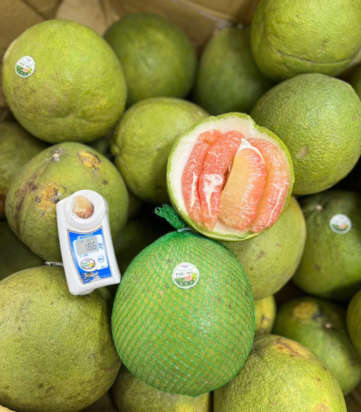 Bưởi Da Xanh Phú Mỹ