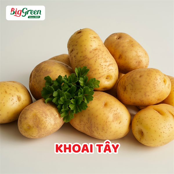 Khoai Tây