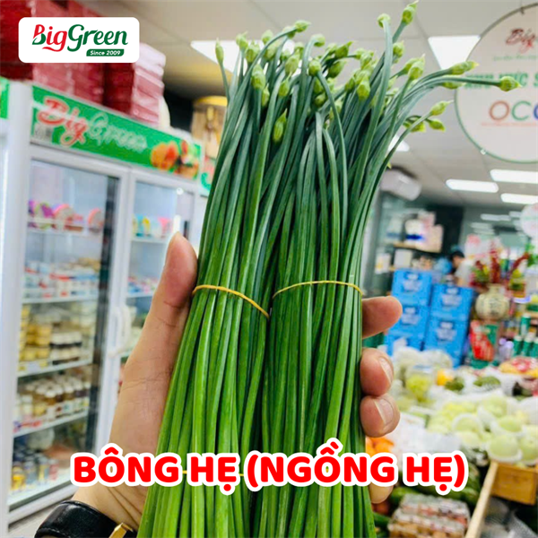 Bông Hẹ Tươi