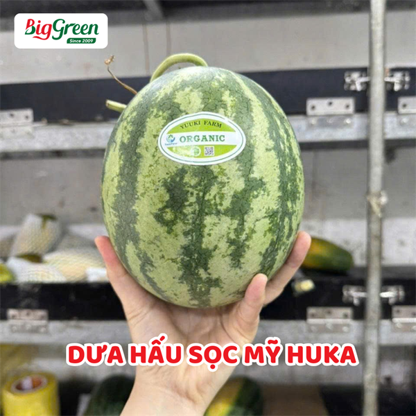 Dưa Hấu Sọc Mỹ HuKa