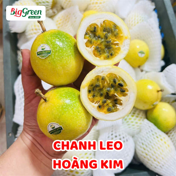 Chanh Leo Vàng