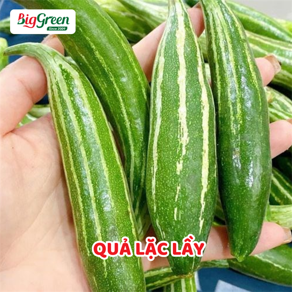 Quả Lặc Lầy