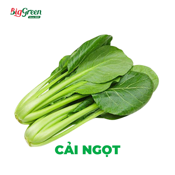 Rau Cải Ngọt