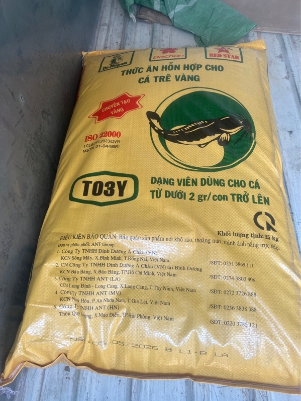 T30-04Y Cá 30 đạm Tạo Vàng