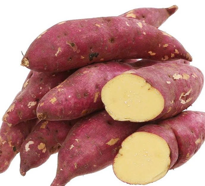 Khoai lang Nhật.
