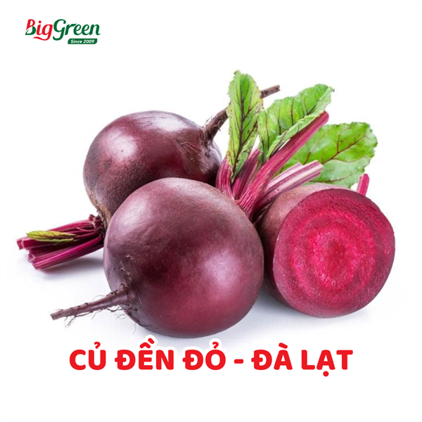 Củ Dền Đỏ - Đà Lạt