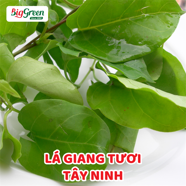 Lá Giang - Tây Ninh