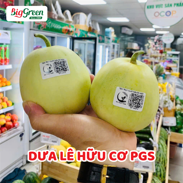 Dưa Lê Hữu Cơ PGS