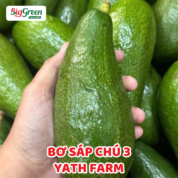 Bơ Sáp Chú 3 - Yath Farm