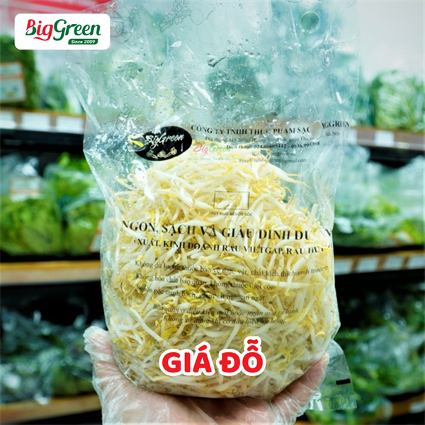 Giá Đỗ