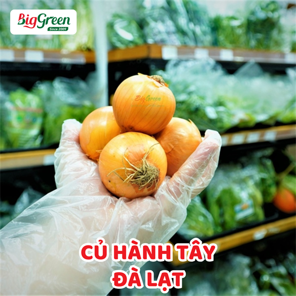 Củ Hành Tây-Đà Lạt