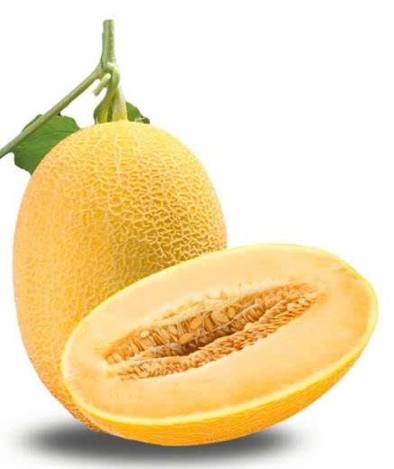 Dưa Lưới Vàng.