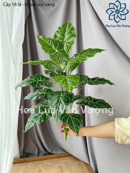 Cây 18 lá - khoai sọc vàng - Cây - Hoa Lụa Vân Vượng