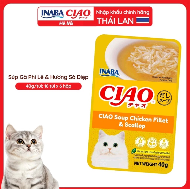 Pate Inaba Ciao 40g