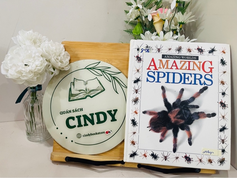 Amazing spiders
