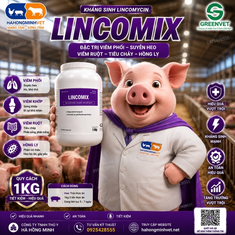 TYX LINCOMIX