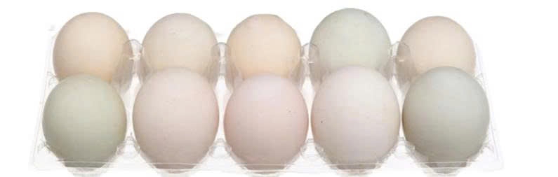 Trứng Vịt vỉ 10