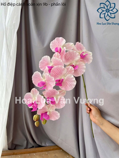 Hồ điệp cánh xoăn xịn 9b - Phấn lõi - Hồ điệp, lan - Hoa Lụa Vân Vượng