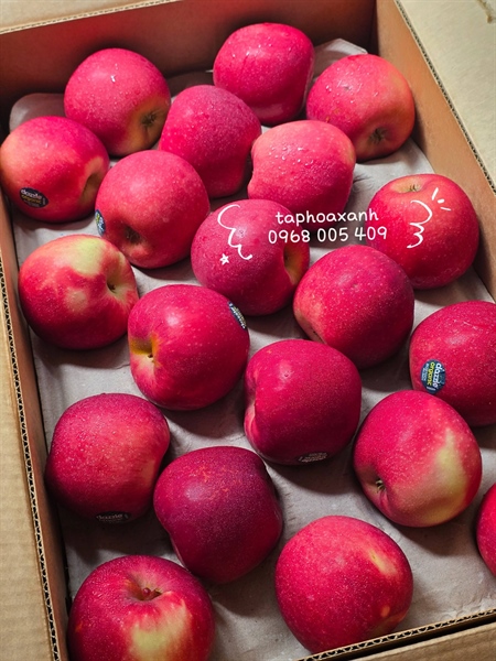 Táo Dazzle Newzealand Organic - SIZE 80 (KG)