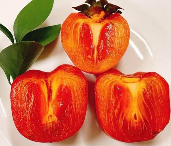 Hồng Vuông Tám Hải