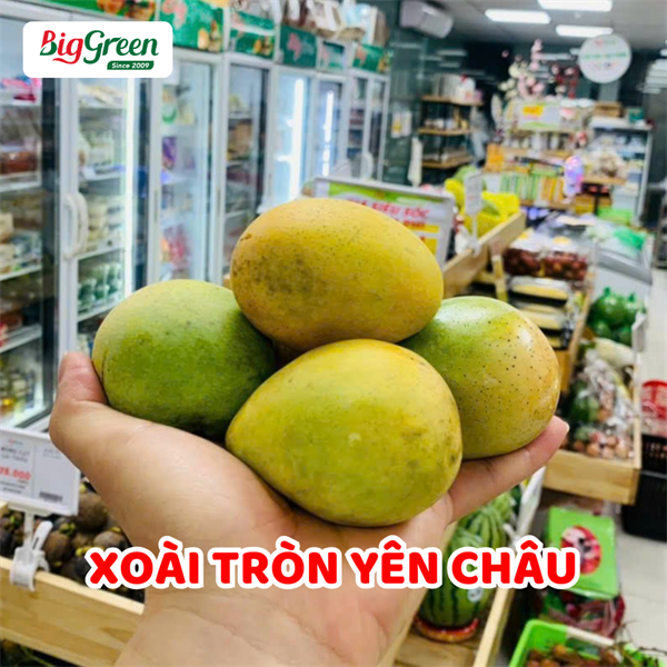 Xoài Tròn Yên Châu