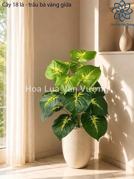 Cây 18 lá - trầu bà vàng giữa - Cây - Hoa Lụa Vân Vượng